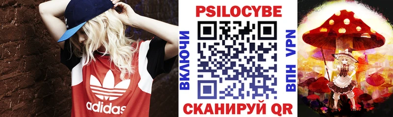 Купить Краснослободск Псилоцибиновые грибы мухоморы