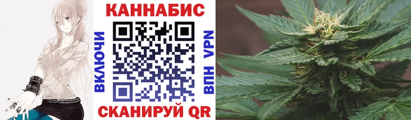 Шишки марихуана THC 21%  Купить где  Краснослободск 